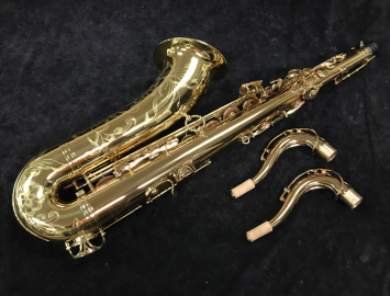 Photo New! Eastman EAS850 Rue St. Georges Tenor Saxophone - New Pro Tenor Sax